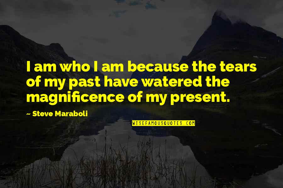 My Past Life Quotes By Steve Maraboli: I am who I am because the tears