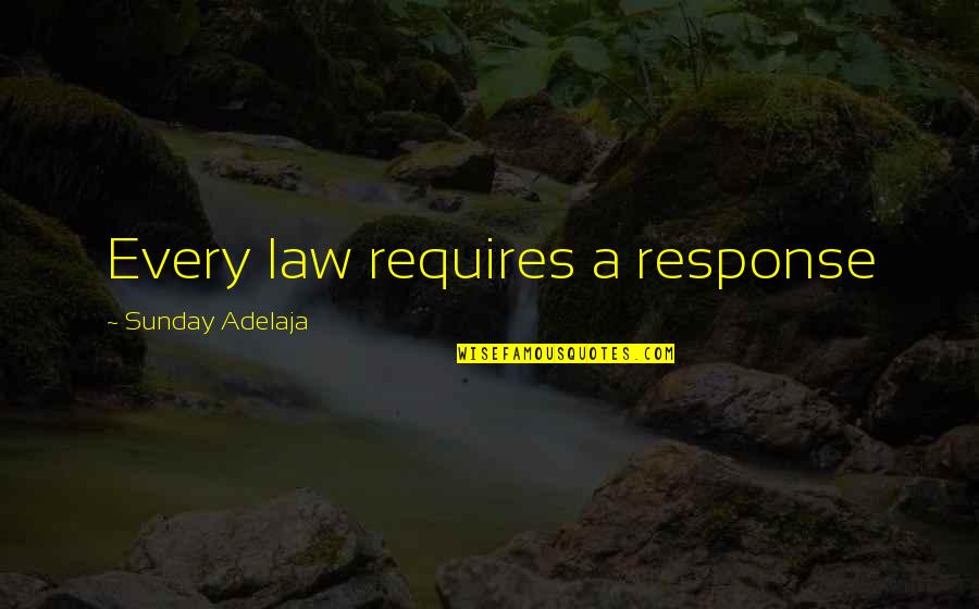 My Perfect Life Dyan Sheldon Quotes By Sunday Adelaja: Every law requires a response