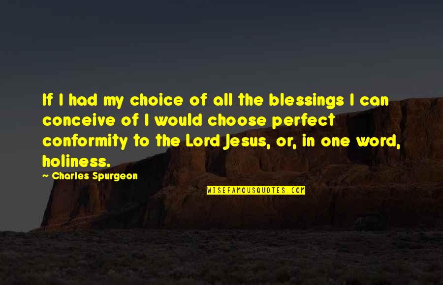 My Perfect One Quotes By Charles Spurgeon: If I had my choice of all the