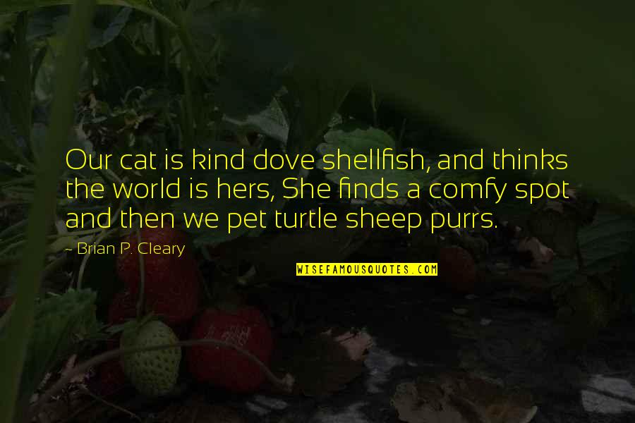 My Pet Cat Quotes By Brian P. Cleary: Our cat is kind dove shellfish, and thinks