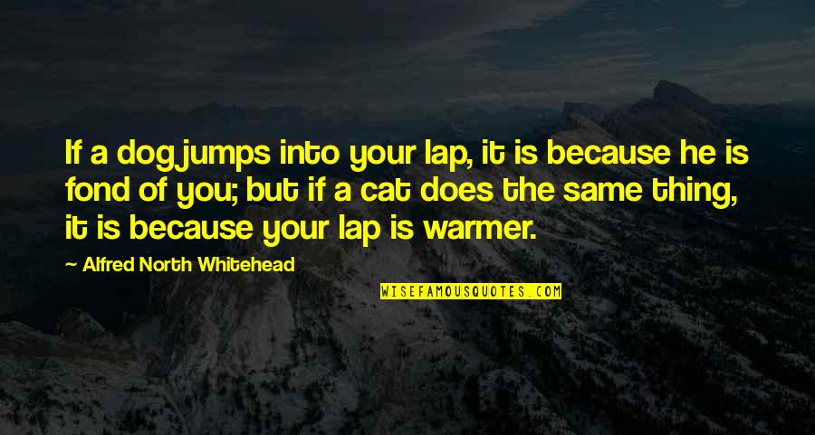 My Pet Dog Quotes By Alfred North Whitehead: If a dog jumps into your lap, it