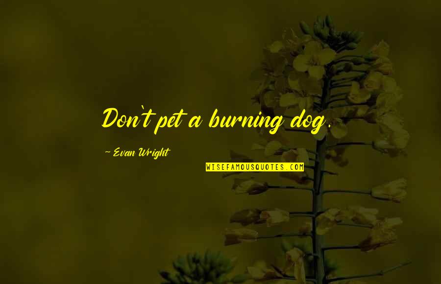 My Pet Dog Quotes By Evan Wright: Don't pet a burning dog.