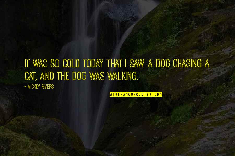 My Pet Dog Quotes By Mickey Rivers: It was so cold today that I saw