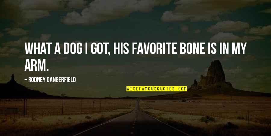 My Pet Dog Quotes By Rodney Dangerfield: What a dog I got, his favorite bone