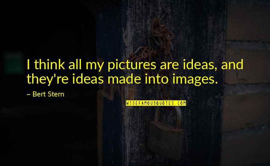 My Pictures Quotes By Bert Stern: I think all my pictures are ideas, and