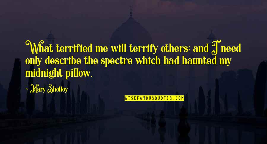 My Pillow Quotes By Mary Shelley: What terrified me will terrify others; and I