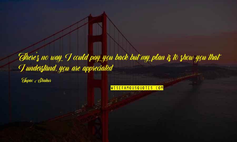 My Plan Is Quotes By Tupac Shakur: There's no way I could pay you back My Plan Is Quotes By Tupac Shakur: There's no way I could pay you back