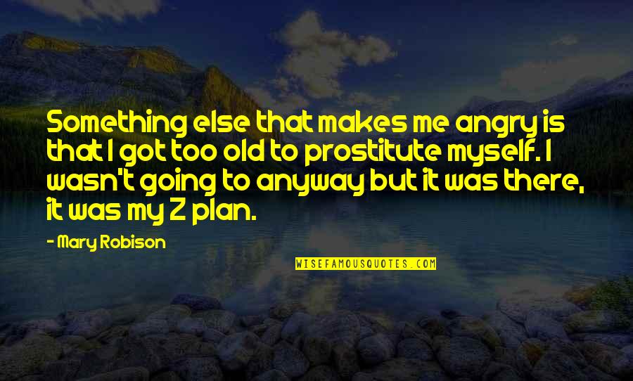 My Plan Quotes By Mary Robison: Something else that makes me angry is that