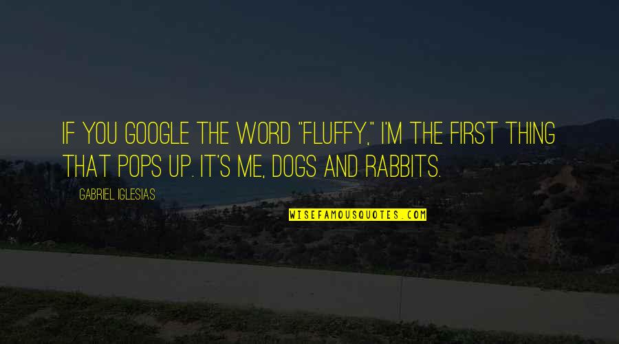 My Pops Quotes By Gabriel Iglesias: If you Google the word "fluffy," I'm the