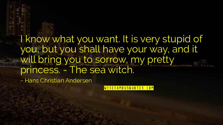 My Princess Quotes By Hans Christian Andersen: I know what you want. It is very