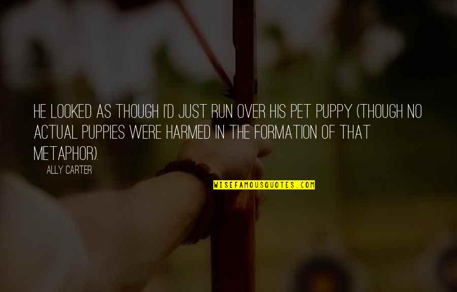 My Puppies Quotes By Ally Carter: He looked as though I'd just run over My Puppies Quotes By Ally Carter: He looked as though I'd just run over