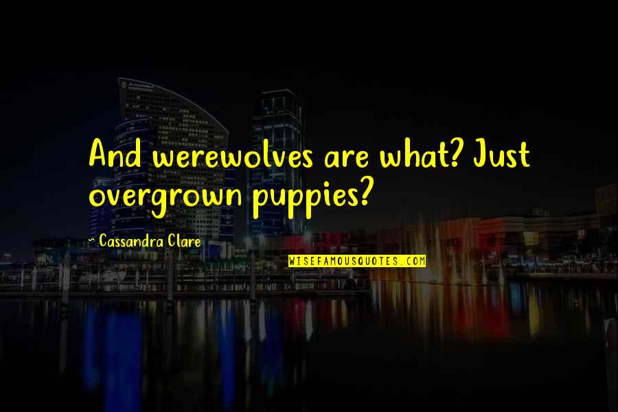My Puppies Quotes By Cassandra Clare: And werewolves are what? Just overgrown puppies?
