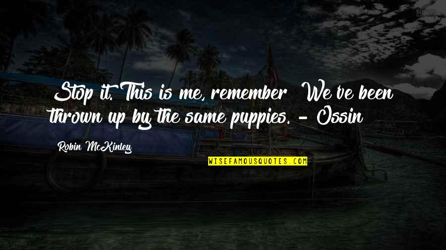 My Puppies Quotes By Robin McKinley: Stop it. This is me, remember? We've been