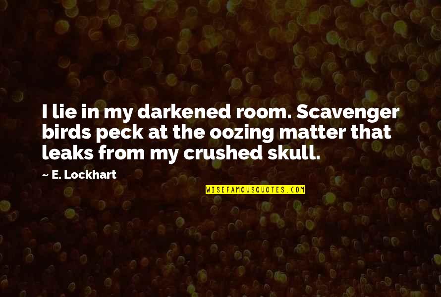 My Room Quotes By E. Lockhart: I lie in my darkened room. Scavenger birds