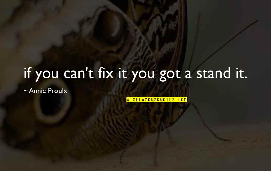 My Secret Admirer Quotes By Annie Proulx: if you can't fix it you got a