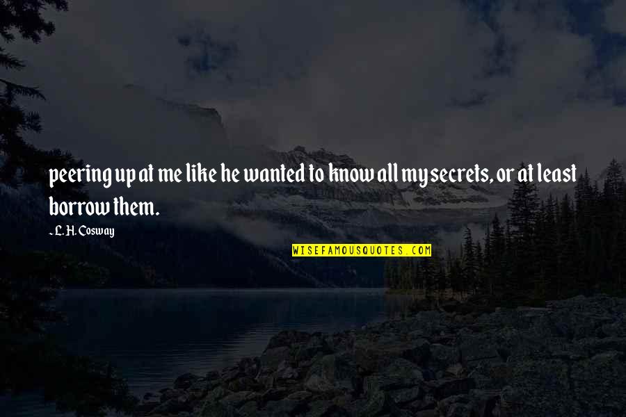 My Secrets Quotes By L. H. Cosway: peering up at me like he wanted to