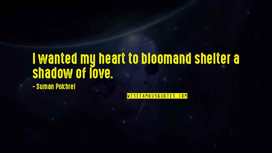 My Shadow Quotes By Suman Pokhrel: I wanted my heart to bloomand shelter a