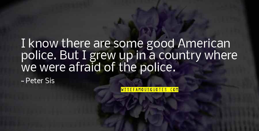 My Sis Quotes By Peter Sis: I know there are some good American police.