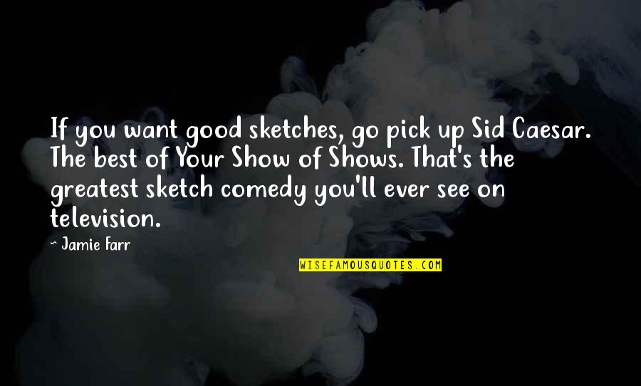My Sketches Quotes By Jamie Farr: If you want good sketches, go pick up