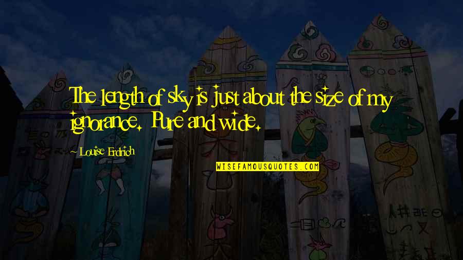 My Sky Quotes By Louise Erdrich: The length of sky is just about the