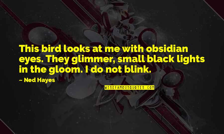 My Small Eyes Quotes By Ned Hayes: This bird looks at me with obsidian eyes.