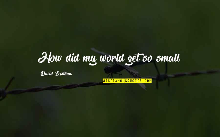 My Small World Quotes By David Levithan: How did my world get so small?