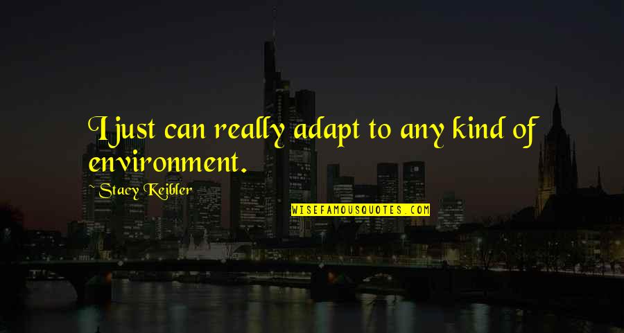 My Smile Hides Quotes By Stacy Keibler: I just can really adapt to any kind