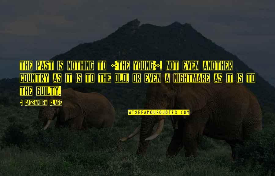 My Son's 4th Birthday Quotes By Cassandra Clare: The past is nothing to [the young], not