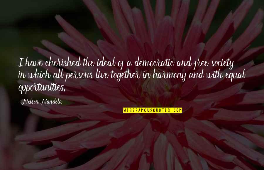 My Soul Mate Girl Quotes By Nelson Mandela: I have cherished the ideal of a democratic