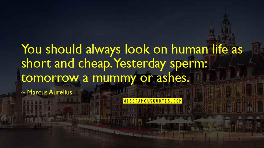 My Sperm Quotes By Marcus Aurelius: You should always look on human life as My Sperm Quotes By Marcus Aurelius: You should always look on human life as