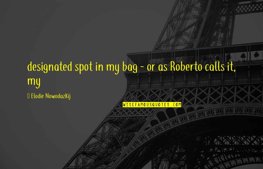 My Spot Quotes By Elodie Nowodazkij: designated spot in my bag - or as My Spot Quotes By Elodie Nowodazkij: designated spot in my bag - or as