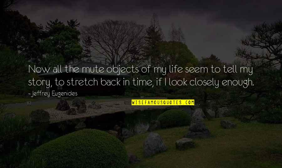 My Story My Life Quotes By Jeffrey Eugenides: Now all the mute objects of my life
