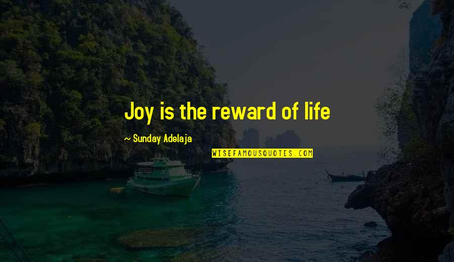 My Strong Personality Quotes By Sunday Adelaja: Joy is the reward of life