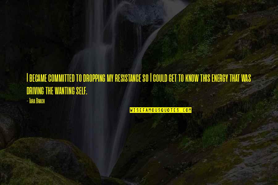 My Tara Energy Quotes By Tara Brach: I became committed to dropping my resistance so My Tara Energy Quotes By Tara Brach: I became committed to dropping my resistance so