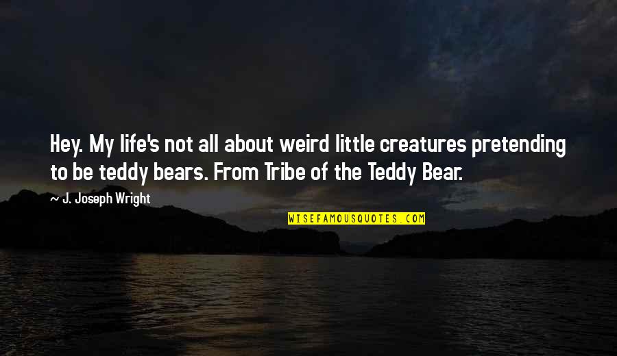 My Teddy Bear Quotes By J. Joseph Wright: Hey. My life's not all about weird little