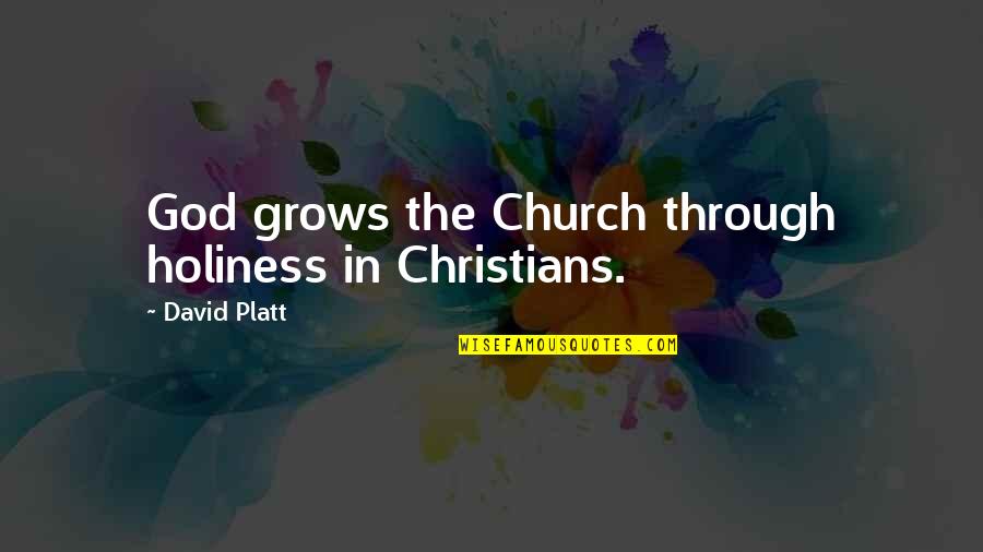 My Testimony Quotes By David Platt: God grows the Church through holiness in Christians.