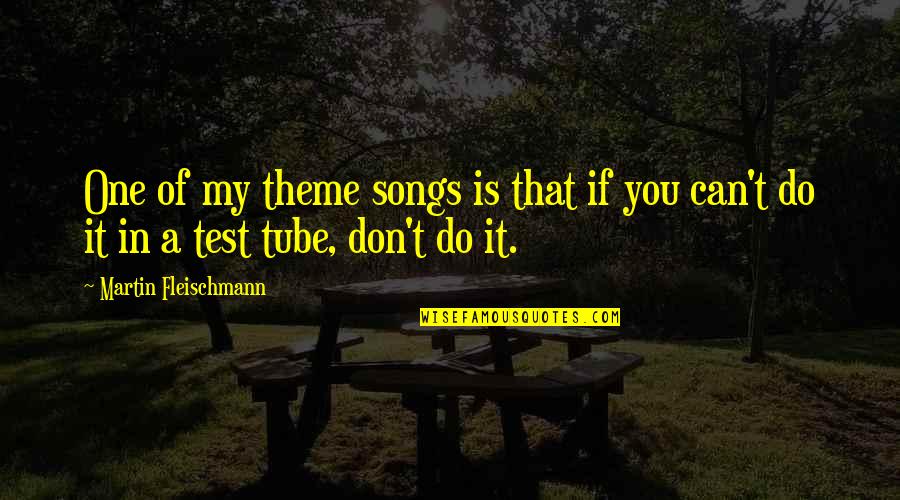 My Theme Quotes By Martin Fleischmann: One of my theme songs is that if