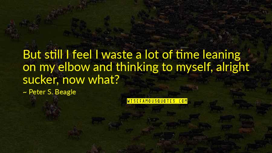 My Time Now Quotes By Peter S. Beagle: But still I feel I waste a lot My Time Now Quotes By Peter S. Beagle: But still I feel I waste a lot