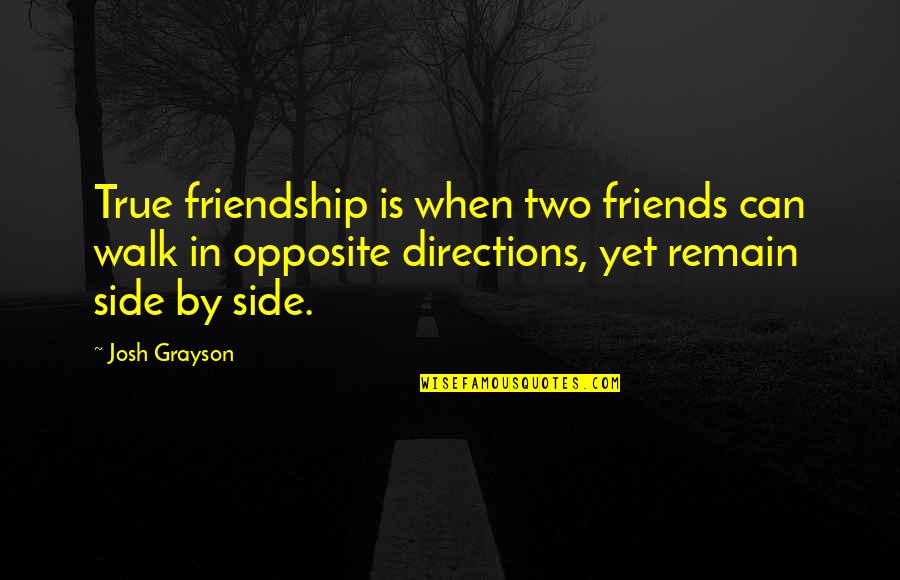 My True Friends Quotes By Josh Grayson: True friendship is when two friends can walk