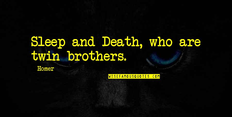 My Twin Brother Quotes By Homer: Sleep and Death, who are twin brothers.
