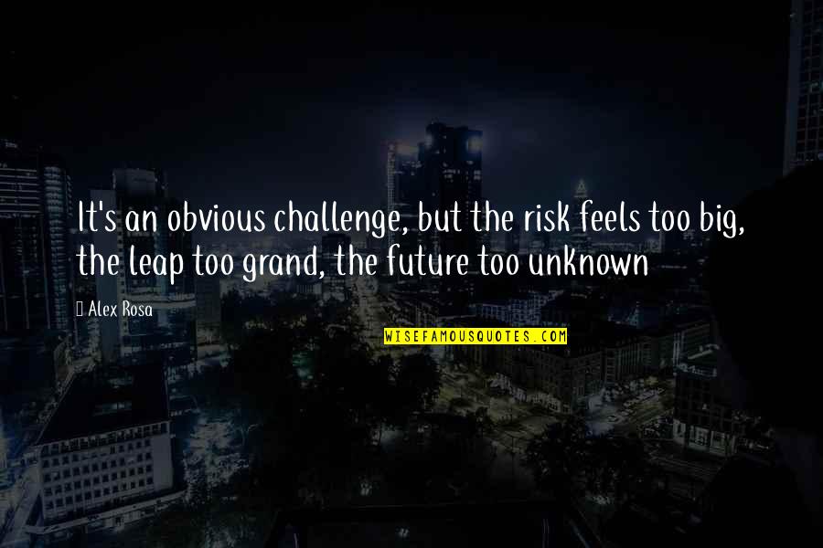 My Unknown Future Quotes By Alex Rosa: It's an obvious challenge, but the risk feels