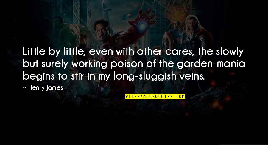 My Veins Quotes By Henry James: Little by little, even with other cares, the My Veins Quotes By Henry James: Little by little, even with other cares, the