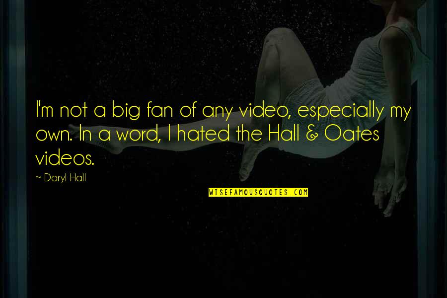 My Video Quotes By Daryl Hall: I'm not a big fan of any video,