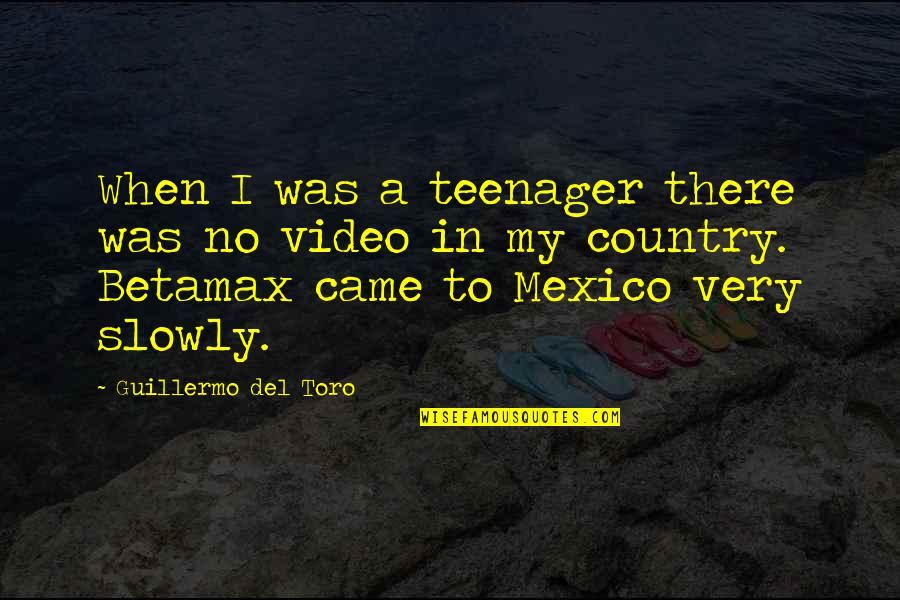 My Video Quotes By Guillermo Del Toro: When I was a teenager there was no