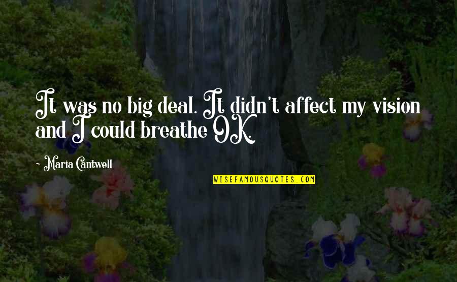 My Vision Quotes By Maria Cantwell: It was no big deal. It didn't affect