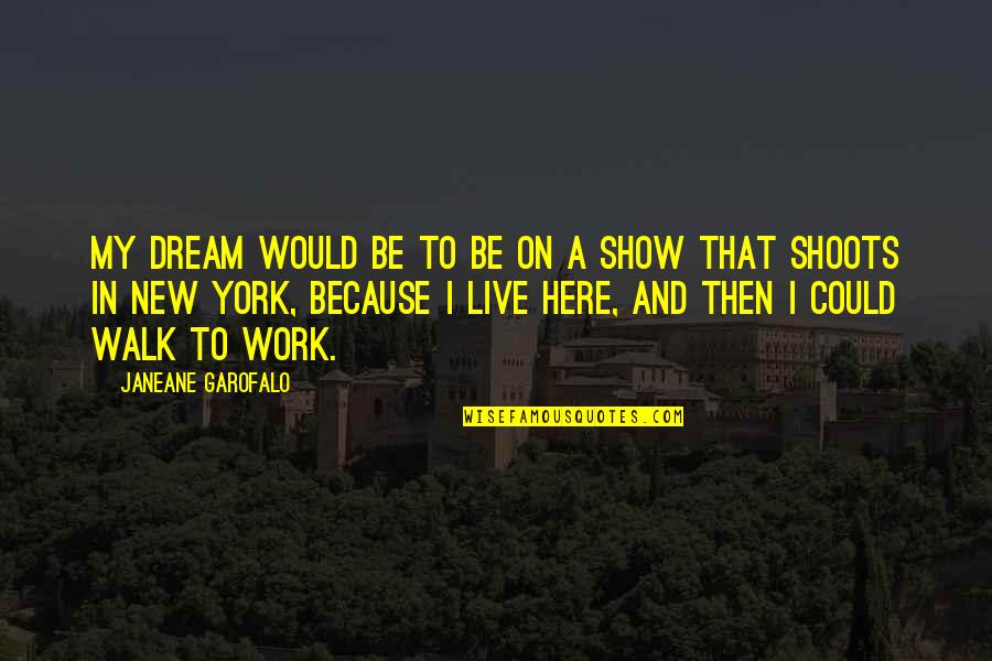 My Walk Quotes By Janeane Garofalo: My dream would be to be on a