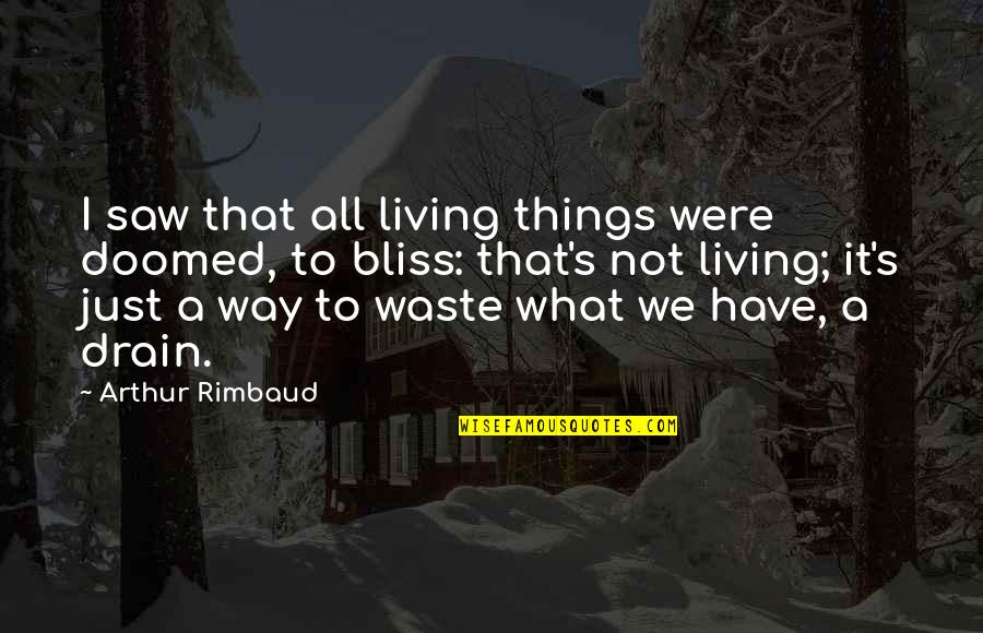 My Way Of Living Quotes By Arthur Rimbaud: I saw that all living things were doomed,