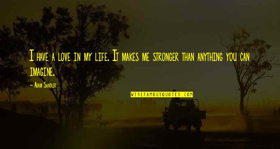 My Weakness Is I Trust Easily Quotes By Adam Sandler: I have a love in my life. It