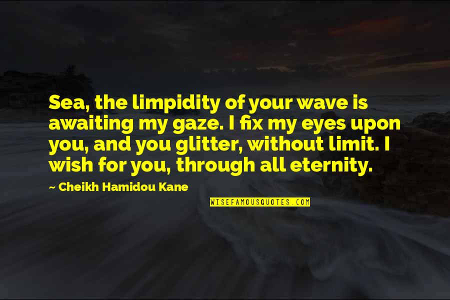 My Wish For You Quotes By Cheikh Hamidou Kane: Sea, the limpidity of your wave is awaiting My Wish For You Quotes By Cheikh Hamidou Kane: Sea, the limpidity of your wave is awaiting