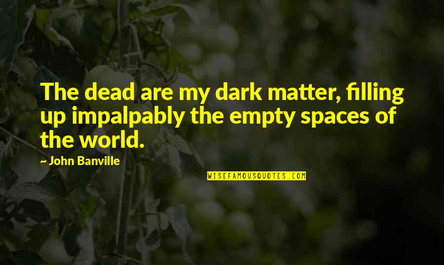 My World Is Empty Without You Quotes By John Banville: The dead are my dark matter, filling up